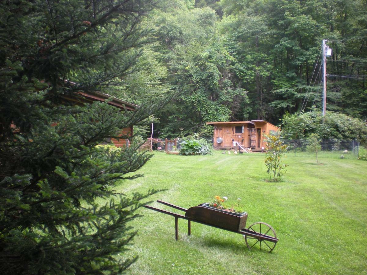 Buffalo Creek Bed And Breakfast Robbinsville Exterior photo